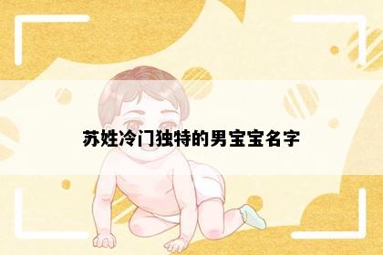 苏姓冷门独特的男宝宝名字